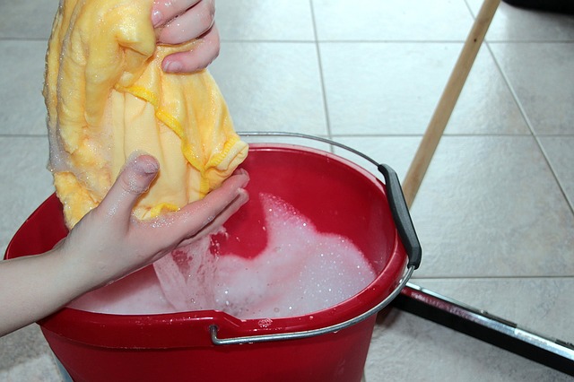 vedro